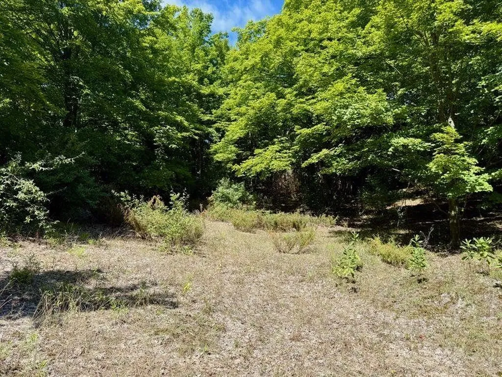 005 E Meander Lane Centerville Township MI 49621