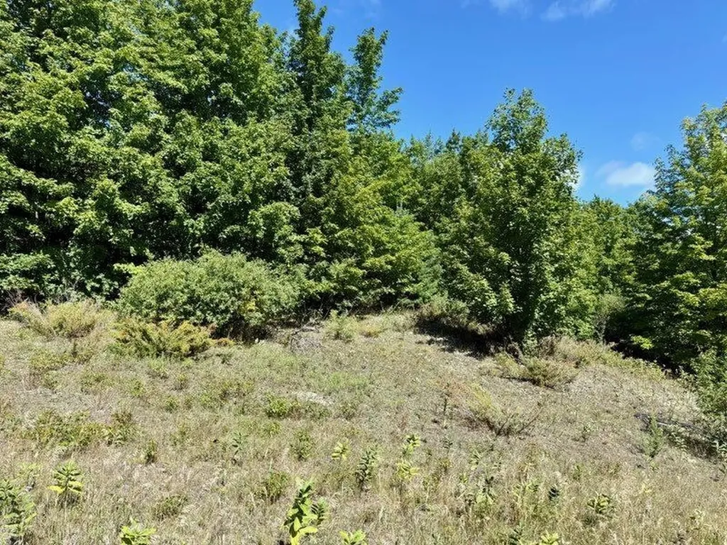 005 E Meander Lane Centerville Township MI 49621
