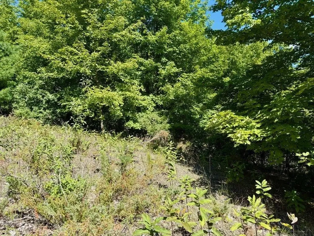 005 E Meander Lane Centerville Township MI 49621
