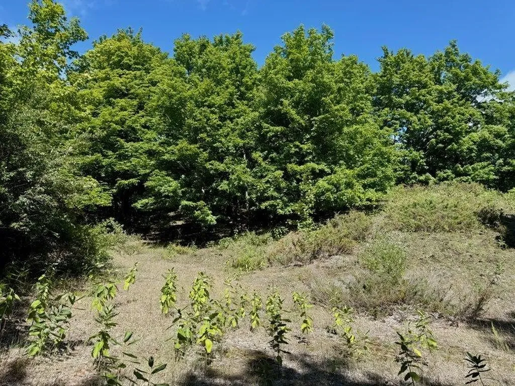005 E Meander Lane Centerville Township MI 49621