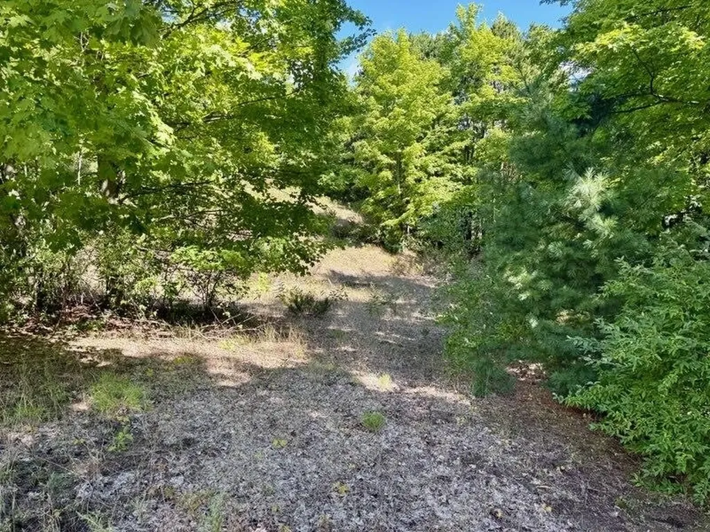 005 E Meander Lane Centerville Township MI 49621