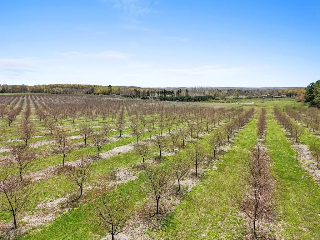 Parcel A Chippewa Trail Milton Township MI 49676