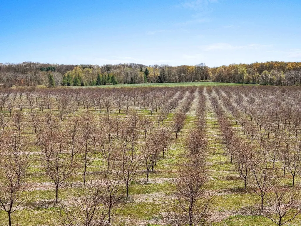 12139 Chippewa Trail Milton Township MI 49676