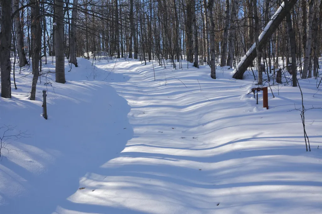 0 S Schomberg Road Centerville Township MI 49621