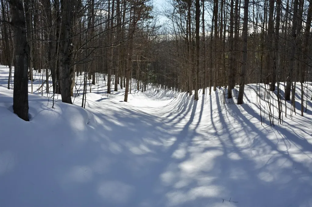 0 S Schomberg Road Centerville Township MI 49621
