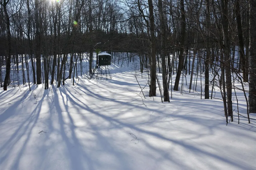 0 S Schomberg Road Centerville Township MI 49621