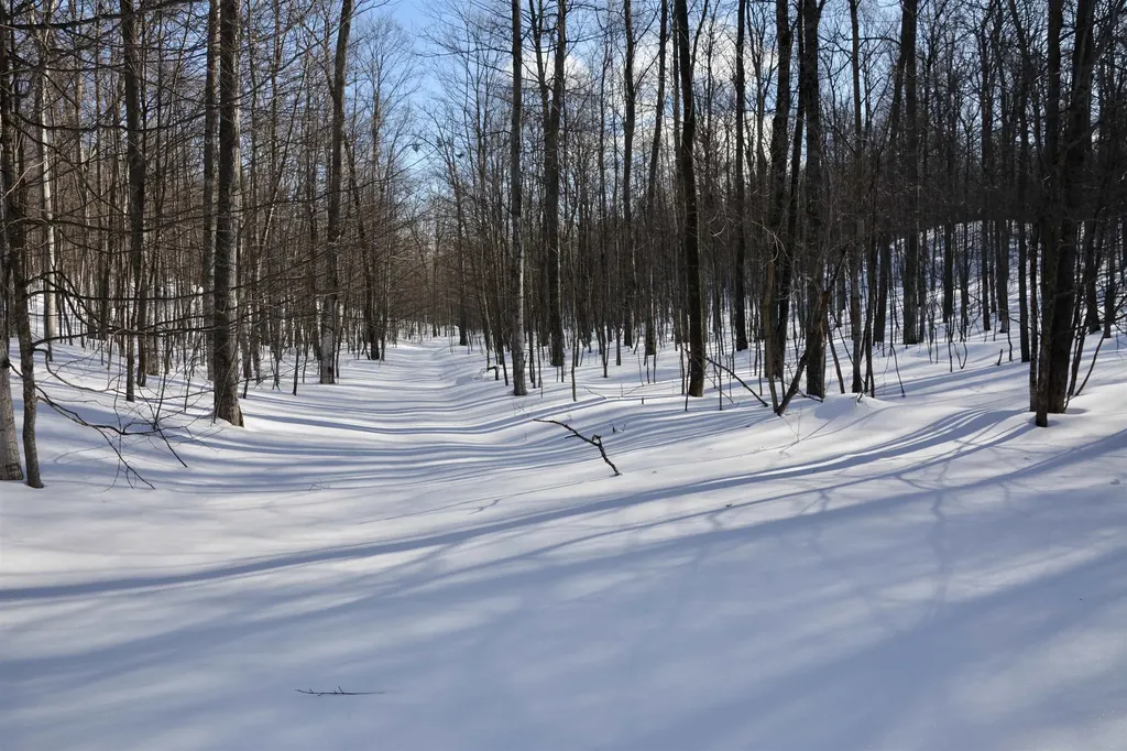 0 S Schomberg Road Centerville Township MI 49621