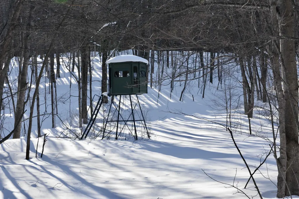 0 S Schomberg Road Centerville Township MI 49621