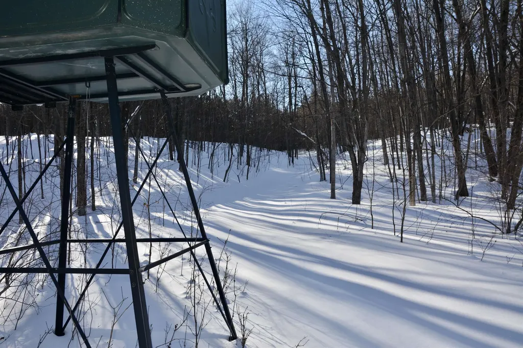 0 S Schomberg Road Centerville Township MI 49621