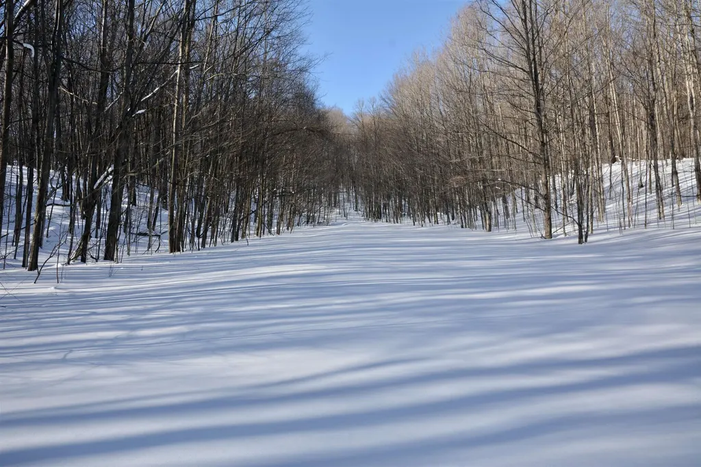 0 S Schomberg Road Centerville Township MI 49621