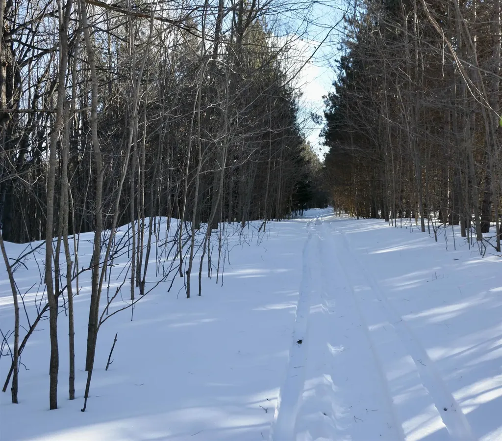 0 S Schomberg Road Centerville Township MI 49621