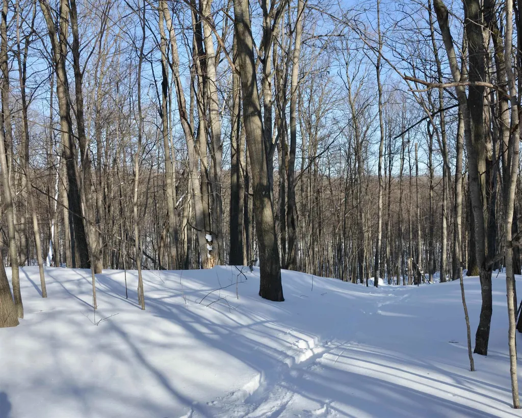 0 S Schomberg Road Centerville Township MI 49621