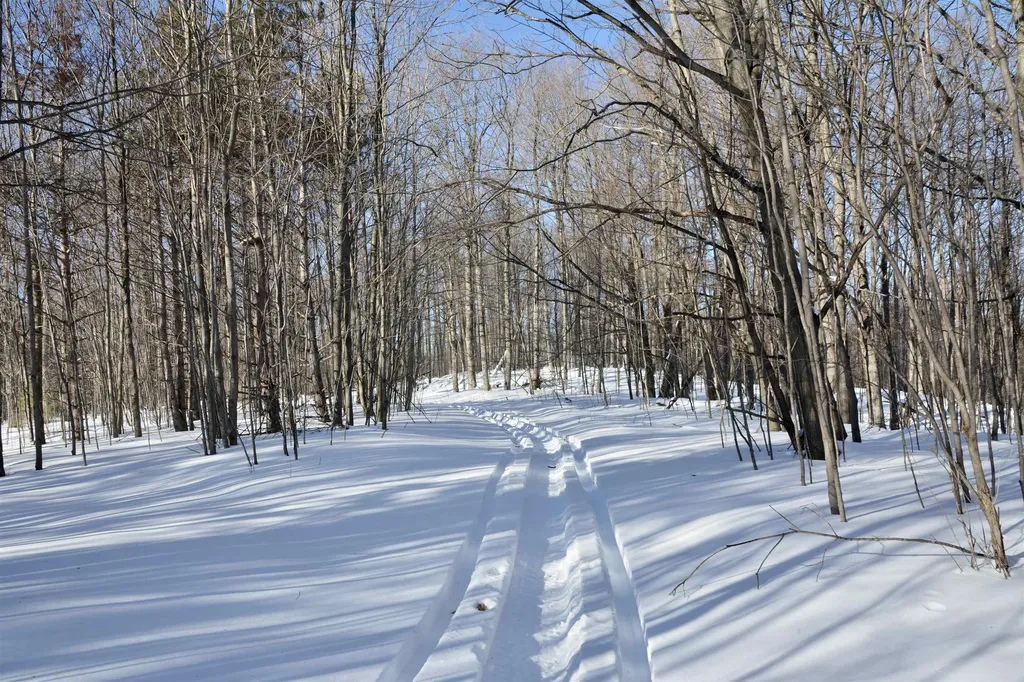 0 S Schomberg Road Centerville Township MI 49621