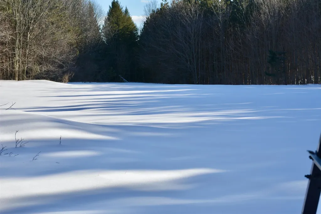0 S Schomberg Road Centerville Township MI 49621