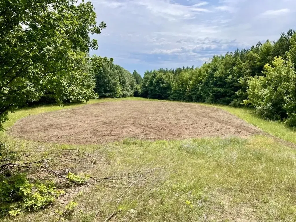 0 S Schomberg Road Centerville Township MI 49621