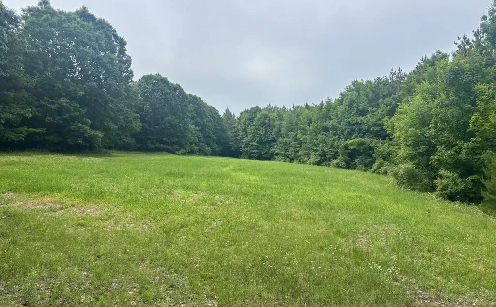 0 S Schomberg Road Centerville Township MI 49621