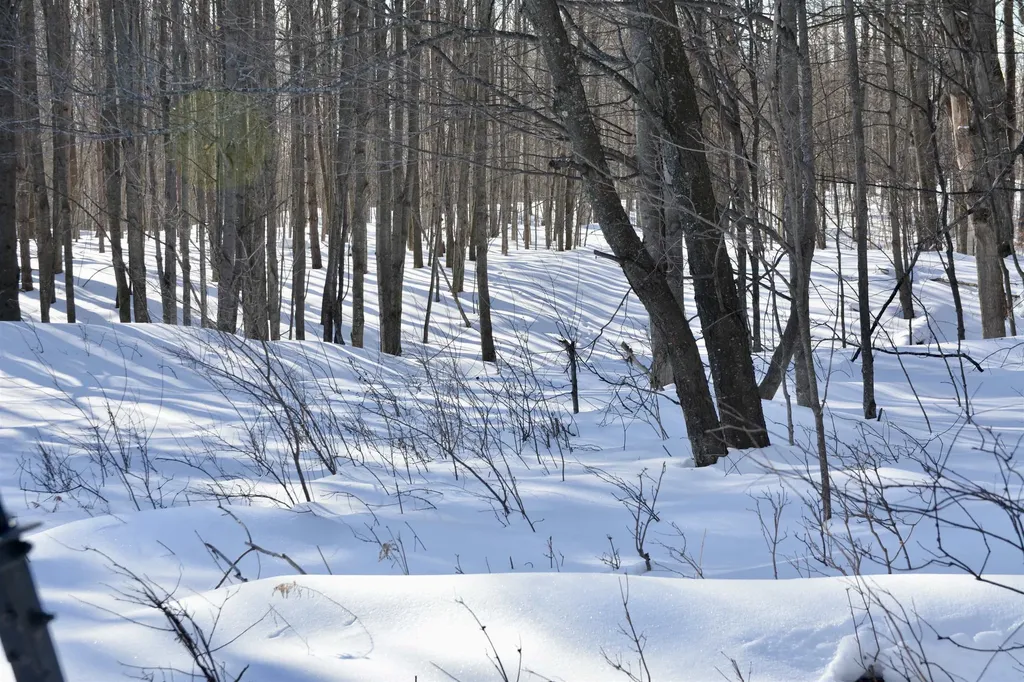 0 S Schomberg Road Centerville Township MI 49621