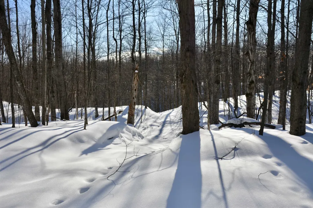 0 S Schomberg Road Centerville Township MI 49621