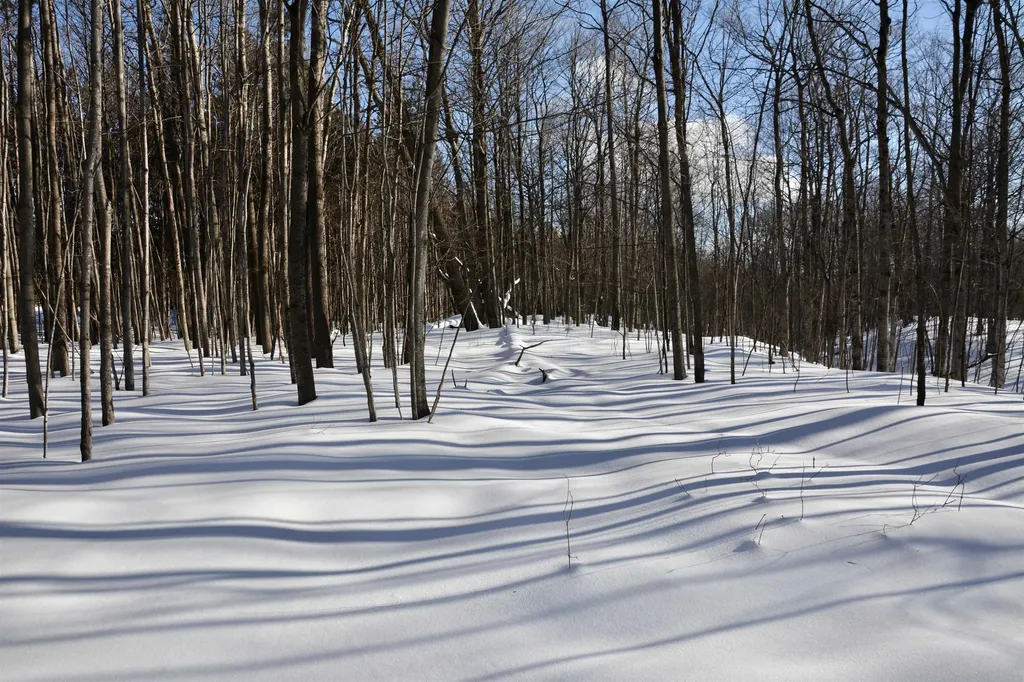 0 S Schomberg Road Centerville Township MI 49621