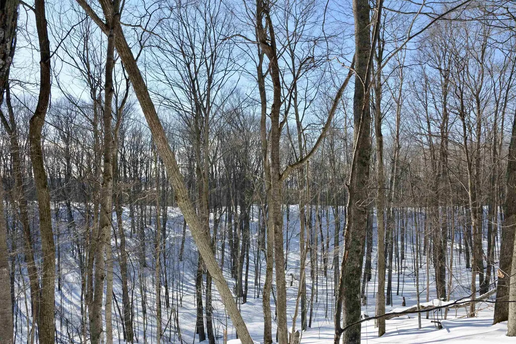 0 S Schomberg Road Centerville Township MI 49621