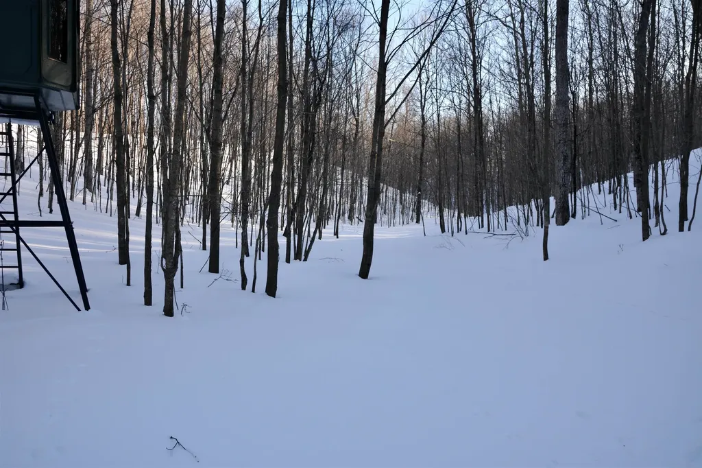 0 S Schomberg Road Centerville Township MI 49621