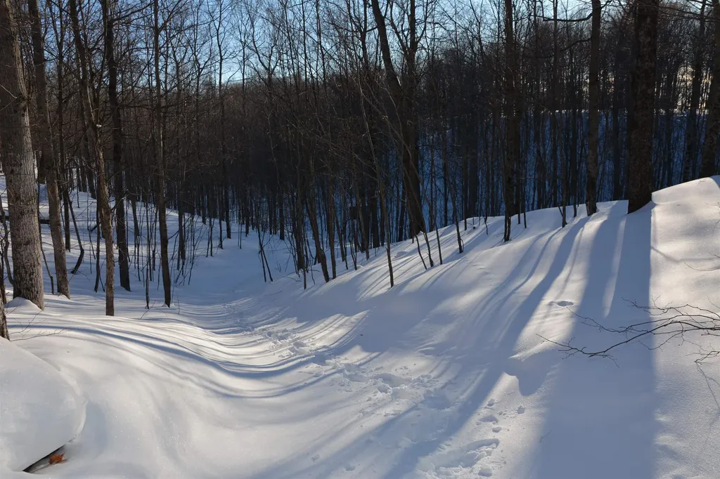 0 S Schomberg Road Centerville Township MI 49621