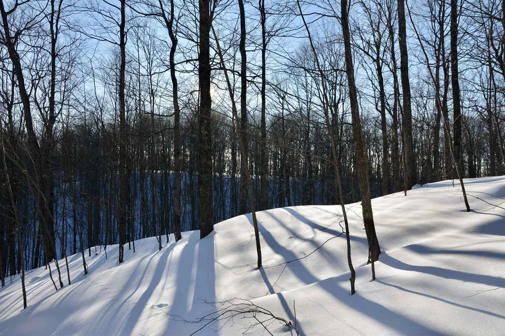 0 S Schomberg Road Centerville Township MI 49621