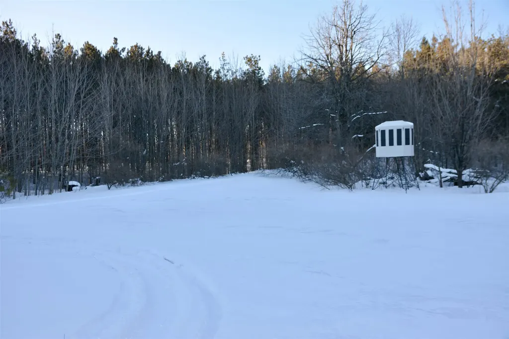 0 S Schomberg Road Centerville Township MI 49621