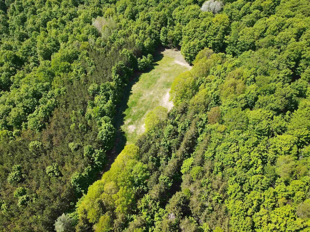0 S Schomberg Road Centerville Township MI 49621