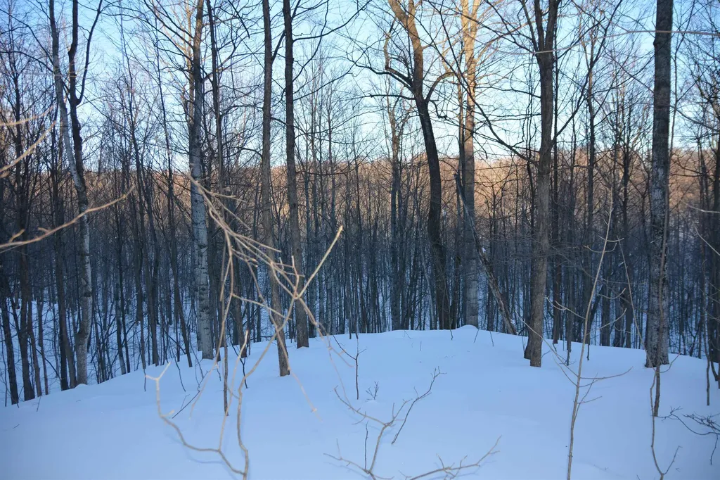 0 S Schomberg Road Centerville Township MI 49621