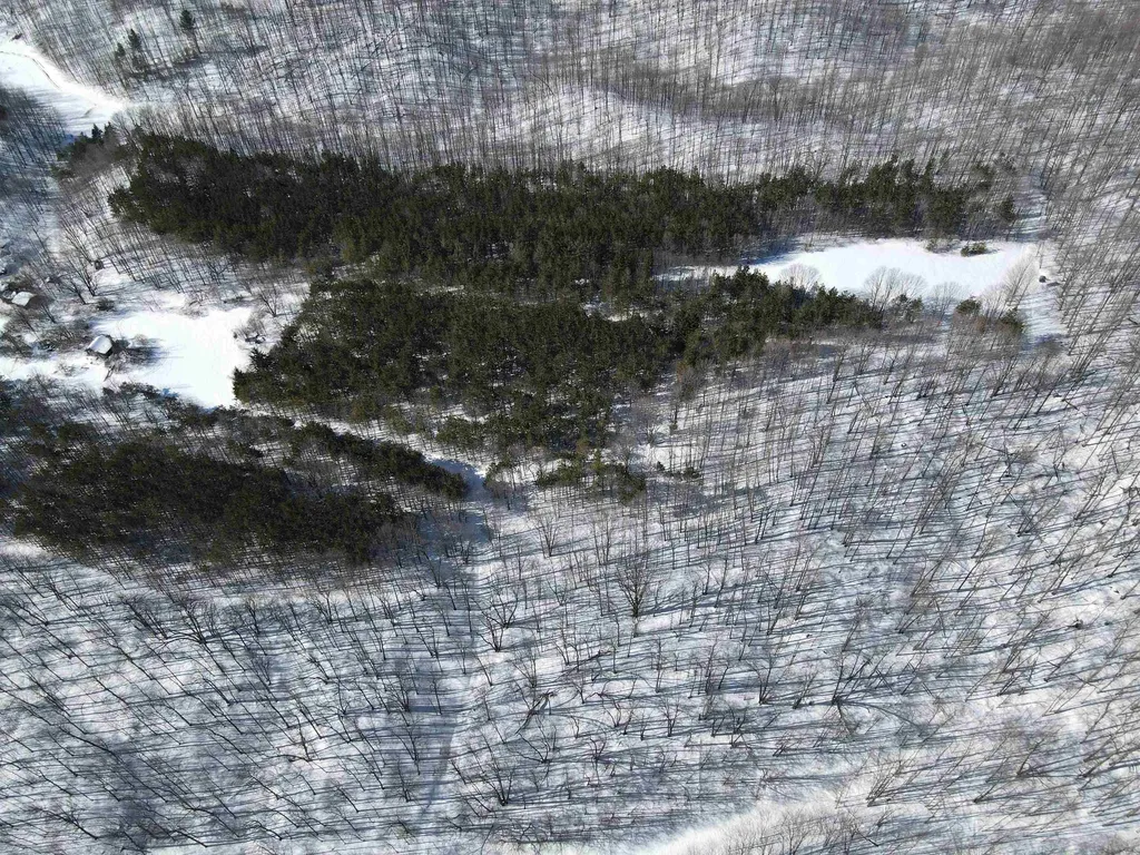0 S Schomberg Road Centerville Township MI 49621