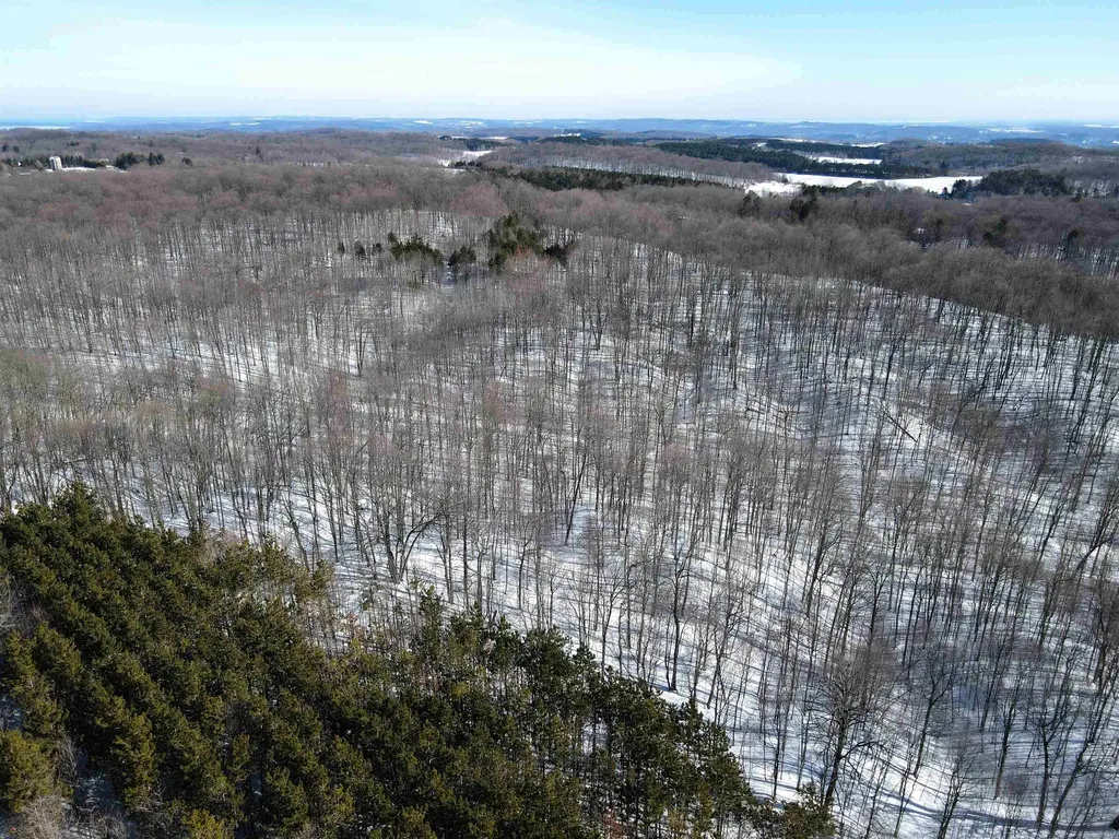 0 S Schomberg Road Centerville Township MI 49621