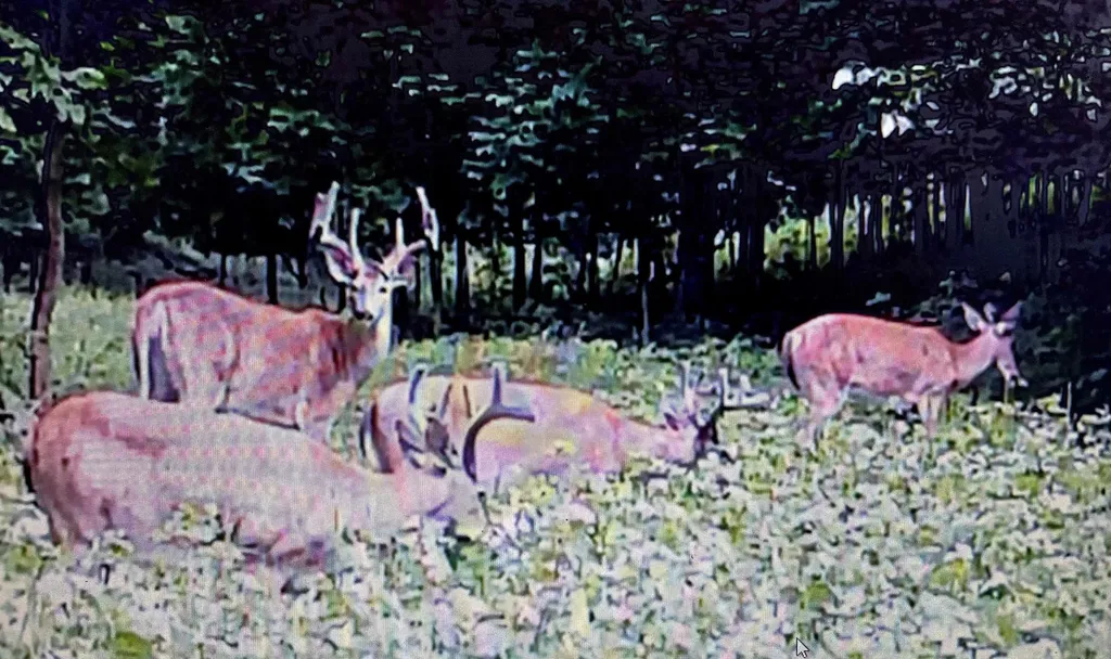 0 S Schomberg Road Centerville Township MI 49621