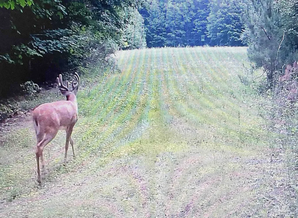 0 S Schomberg Road Centerville Township MI 49621