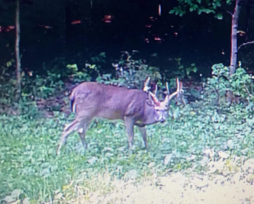 0 S Schomberg Road Centerville Township MI 49621