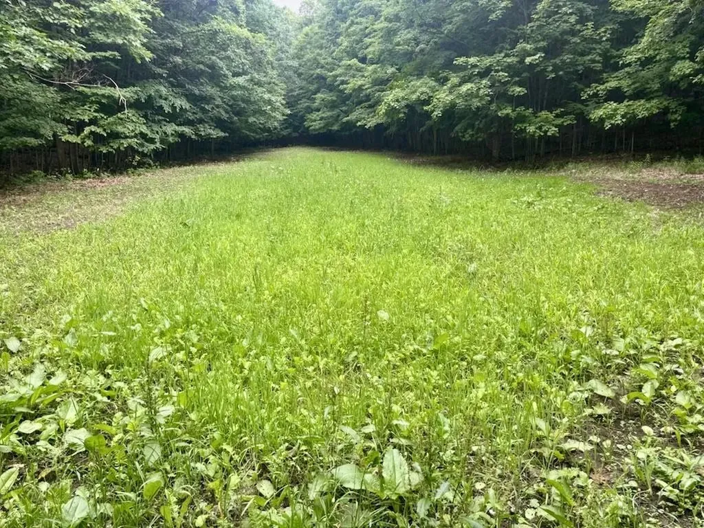 0 S Schomberg Road Centerville Township MI 49621