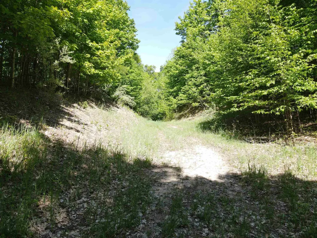 0 S Schomberg Road Centerville Township MI 49621