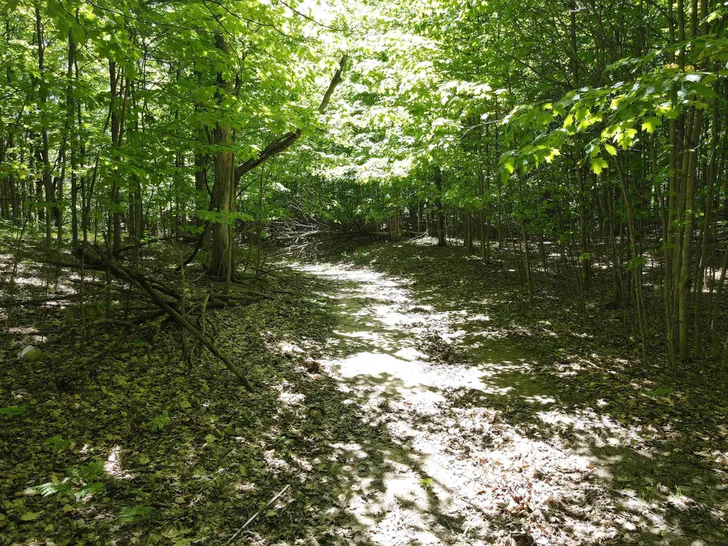 0 S Schomberg Road Centerville Township MI 49621