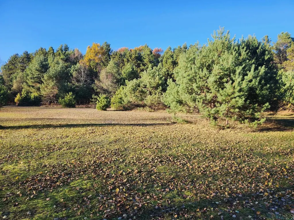 Vl 9 Mile Road Bear Lake Township MI 49645