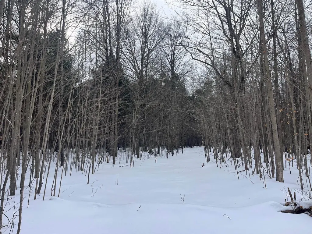 Vl 9 Mile Road Bear Lake Township MI 49645