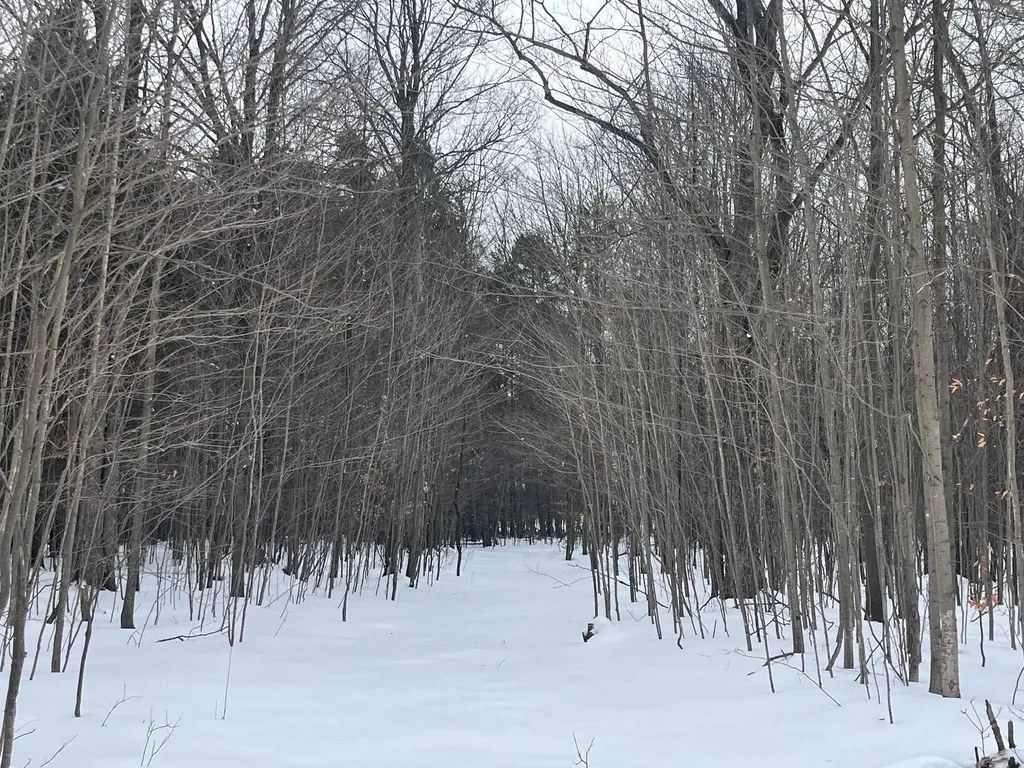 Vl 9 Mile Road Bear Lake Township MI 49645