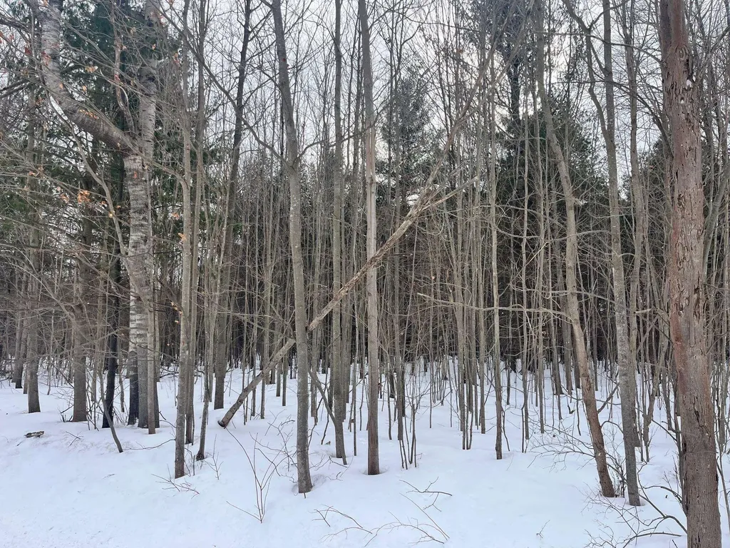 Vl 9 Mile Road Bear Lake Township MI 49645
