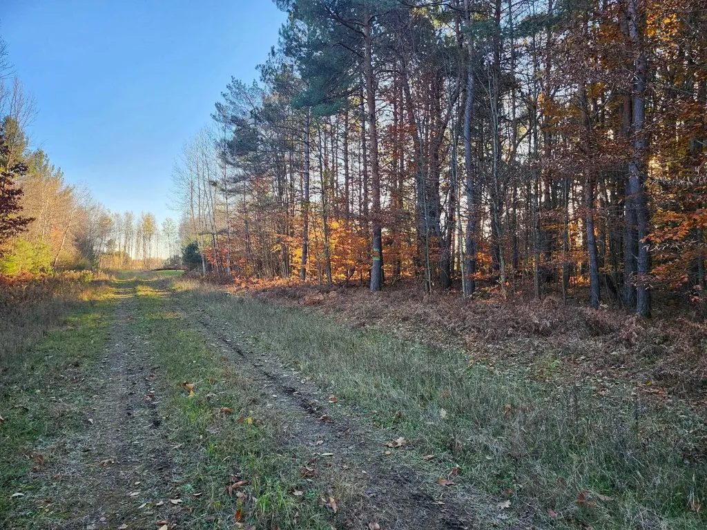 Vl 9 Mile Road Bear Lake Township MI 49645