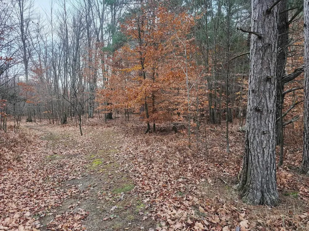 Vl 9 Mile Road Bear Lake Township MI 49645