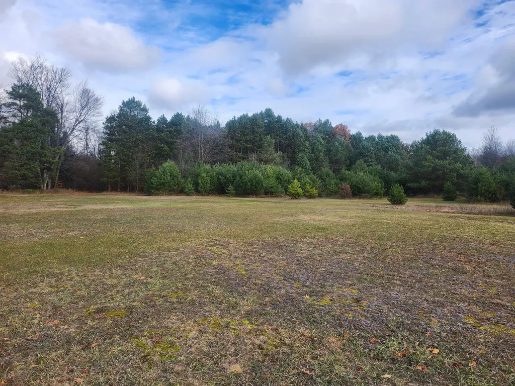 Vl 9 Mile Road Bear Lake Township MI 49645