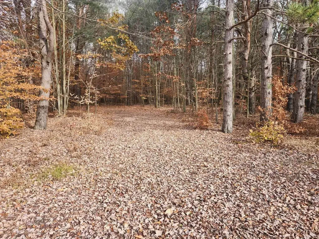 Vl 9 Mile Road Bear Lake Township MI 49645