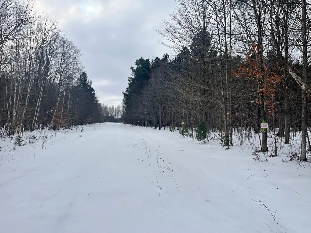 Vl 9 Mile Road Bear Lake Township MI 49645