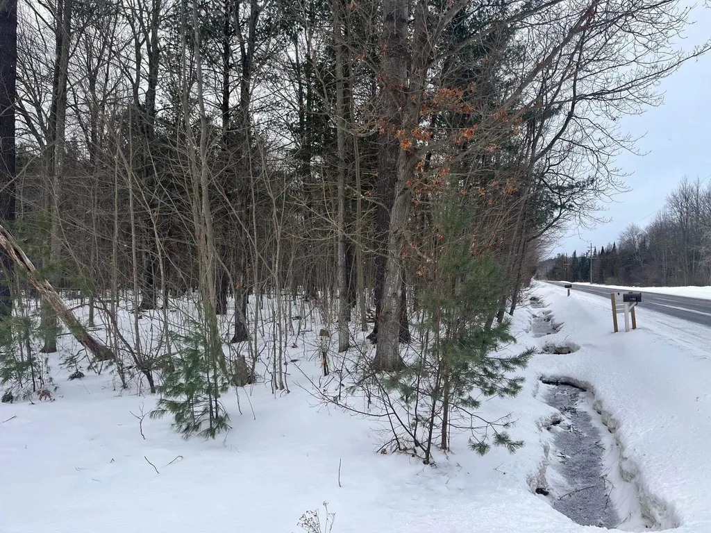 Vl 9 Mile Road Bear Lake Township MI 49645