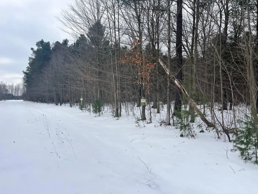 Vl 9 Mile Road Bear Lake Township MI 49645