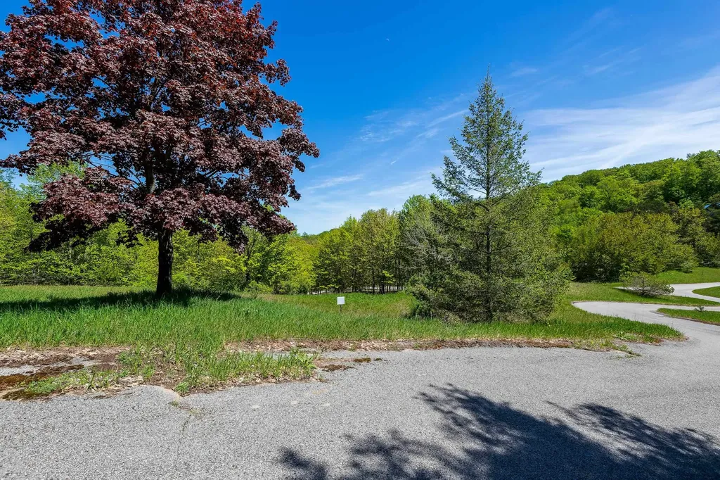 3100 Warren Road Benzonia Township MI 49617